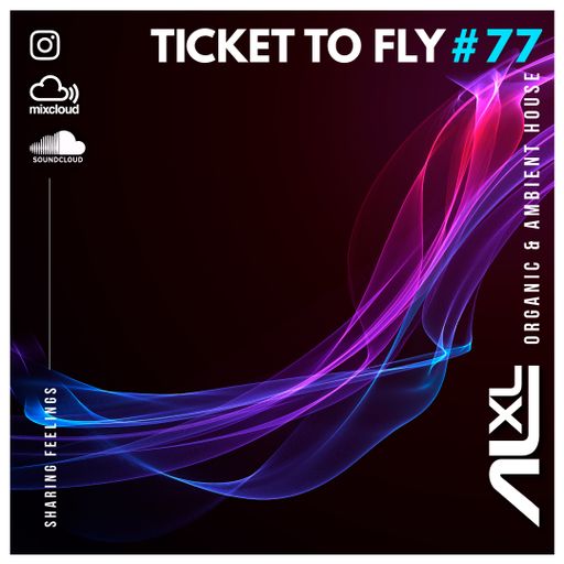 TICKET TO FLY #77 DEC 2023 (Organic House)