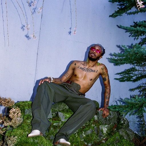 True Laurels – JPEGMAFIA