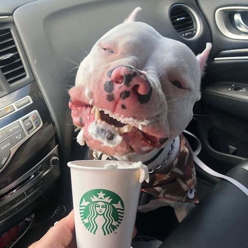 เรื่องบดขอให้บอก สอ.พะยาทดBy ปธฟ