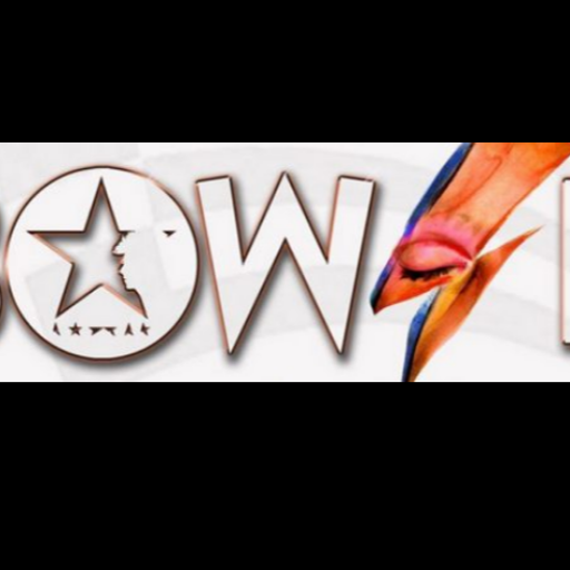 Confessions of a Vinyl Maniac.A Bowie by Day by Day Podcast.