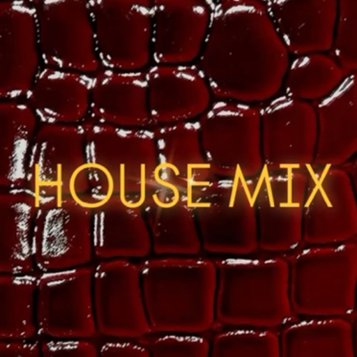 CLUB House Gimme More