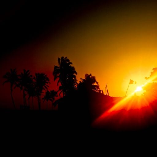 AWOAVI - Journey - 25th July 2025