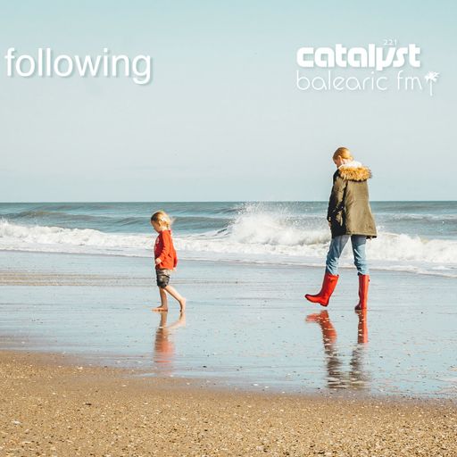 following (catalyst, 221)