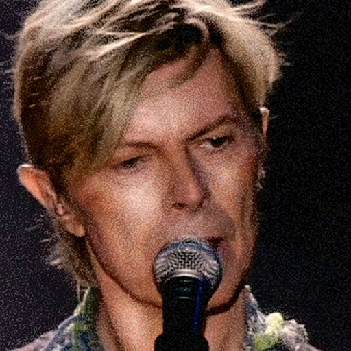 Bowie Isle of Wight Festival 13th June 2004