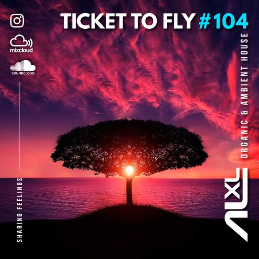 TICKET TO FLY #104 OCT 2024 (Organic House) - Exclusive Session for RadioTronica (AR)