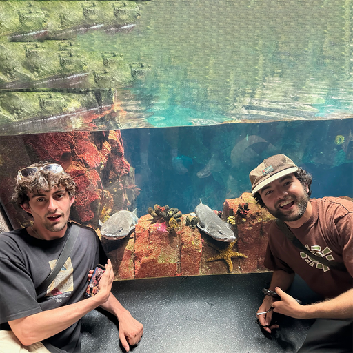 REPEAT - 06/07/24 - Voices Radio