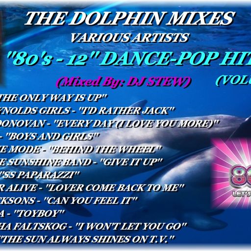 THE DOLPHIN MIXES - VARIOUS ARTISTS - ''80's - 12'' DANCE-POP HITS'' (VOLUME 15)