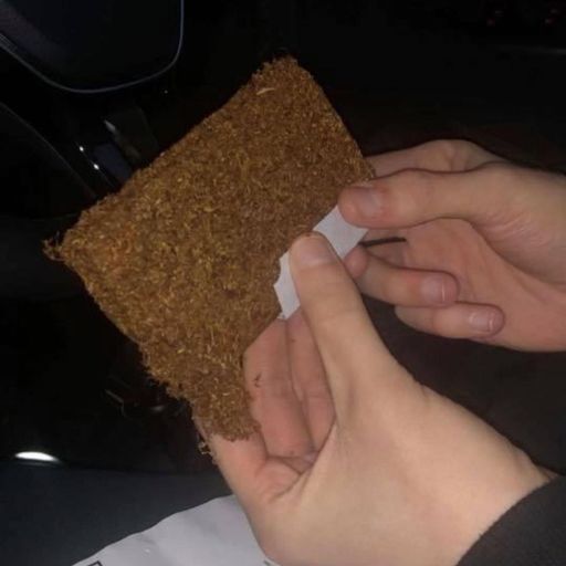 Tynetees w. Frederico Gonzales - September 2025