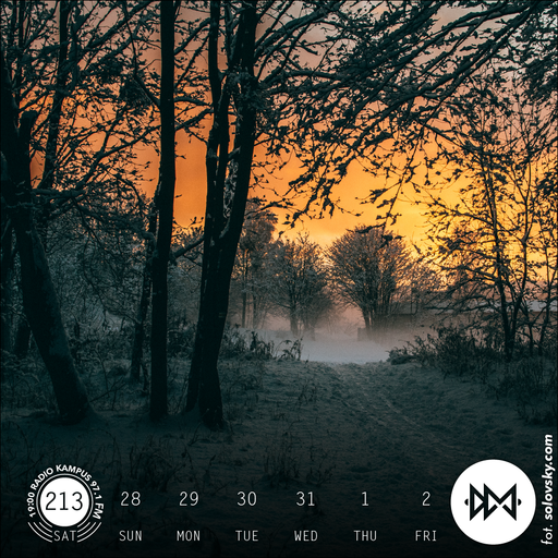 Digital Meditation # 213 [ KHRUANGBIN / D'ANGELO / JOE ARMON-JONES & MAXWELL OWIN / SYLVAN LACUE ]