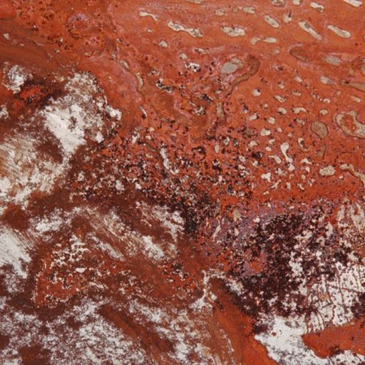 Ela Minus - 21st January 2026