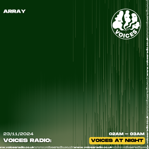 Array - 23/11/24 - [Voices Radio]