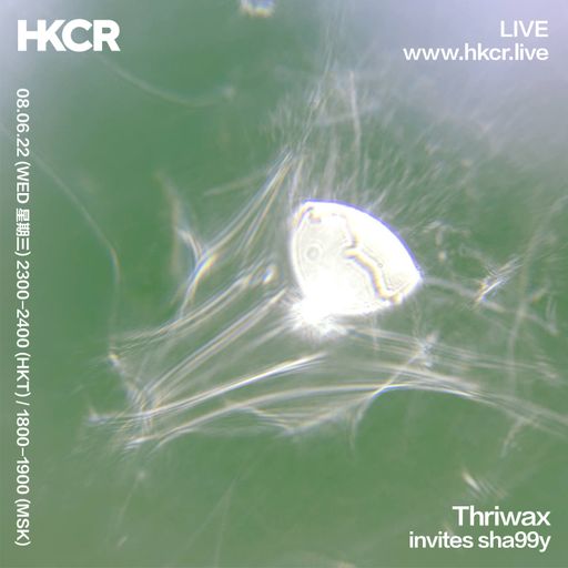 Thriwax invites sha99y - 08/06/2022