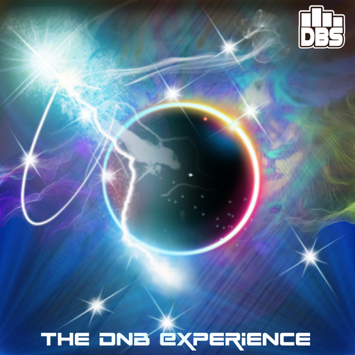 the dnb experience 20032021