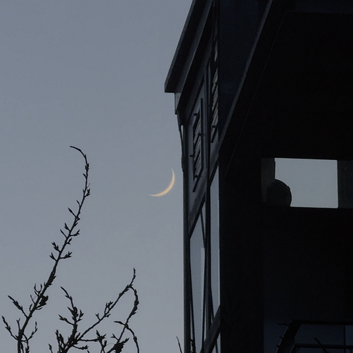 PAVEL MILYAKOV - 9th February 2026