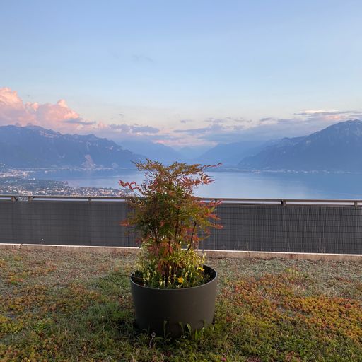 Nitin Sawhney - Nature // 15-04-21