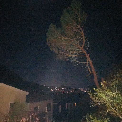 Soft Serve w/ Gabriela Bernadette 11.21