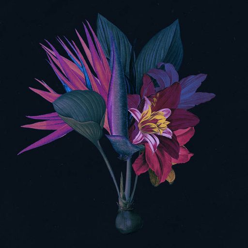 Davey Wavestar - 28.11.2019
