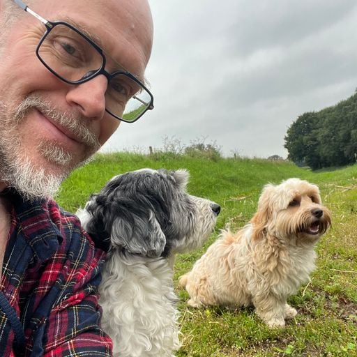 "The Dog Shelter” Amapiano, ft. Bowie & Jimmy