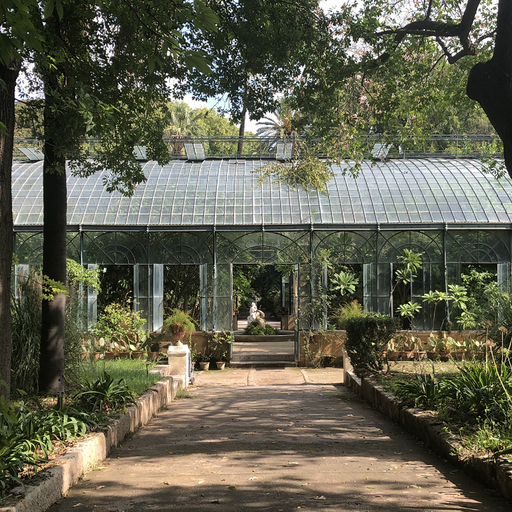 ARRHYTHMIA - 24th June 2025