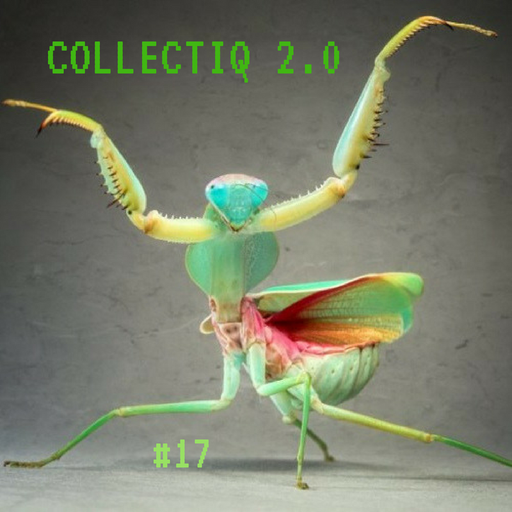 Collectiq 2.0 #17: If It Ain't Funky, Back It Up