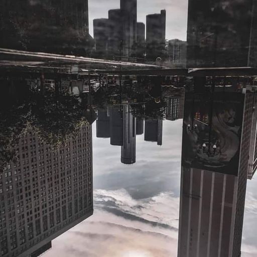 nohope only dope-detroitical-from d-jack 2432020