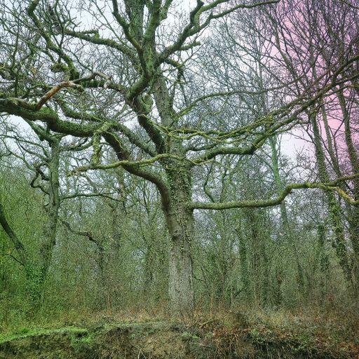 WMMU - Reggae, funk, rock n metal. (21/03/26)