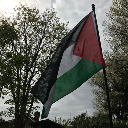 Dan Andres - Free Palestine Progressive House May Mix 31/05/2025