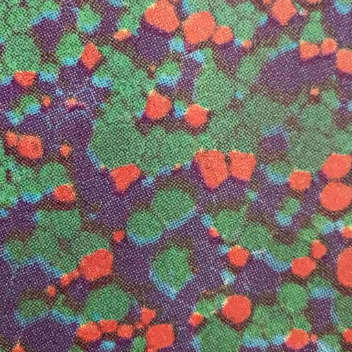 The Infinite Inward #64 - 8th September 2023