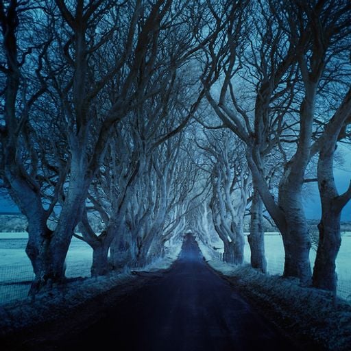Roads (2015 Part 1)