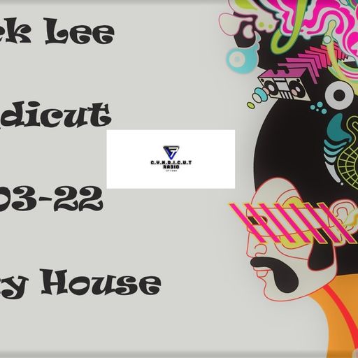 Mick Lee Cyndicut Funky