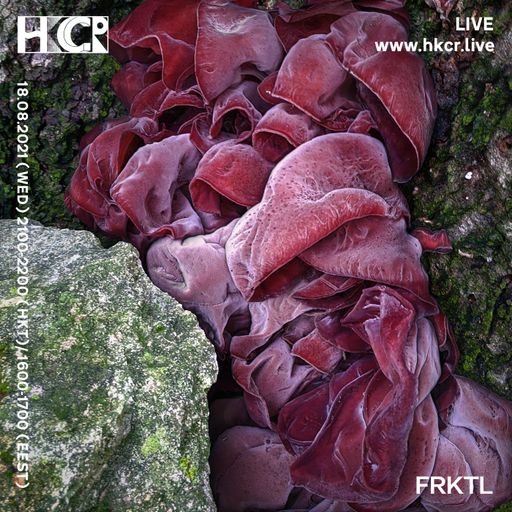 FRKTL - 18/08/2021