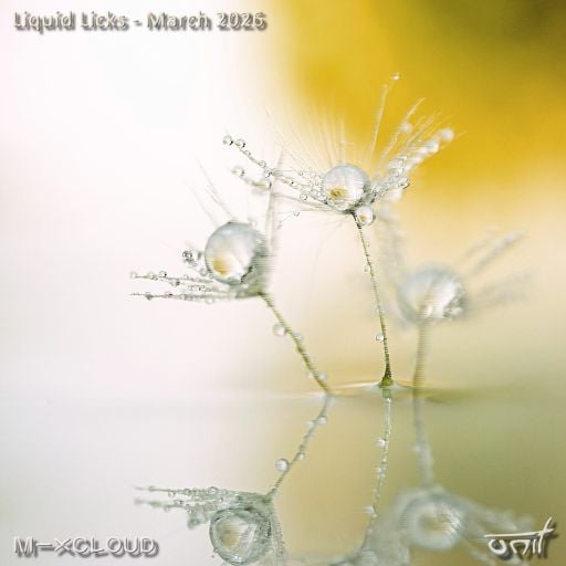 Liquid Licks - March 2026