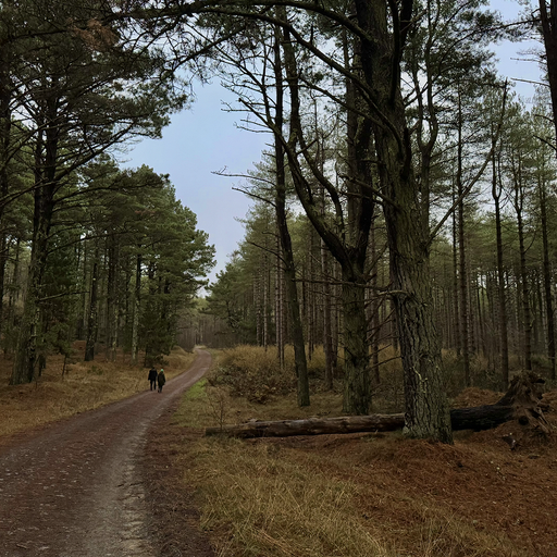 Farm to Forest w/ Louise Taylor - 25th September 2025