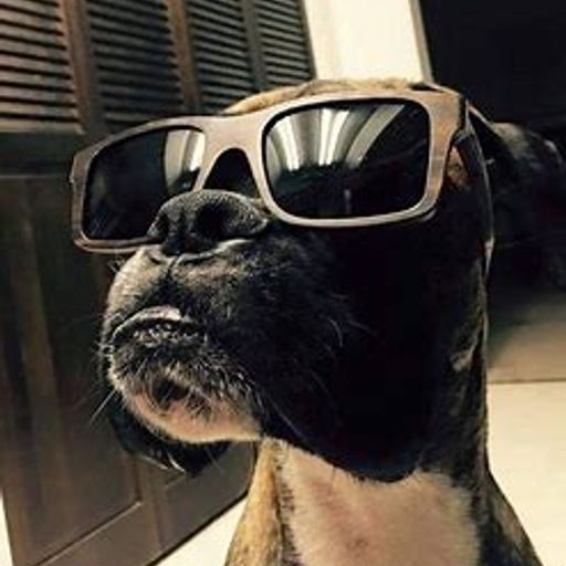 Cool & Swingin' (FunkySmoothJazz)