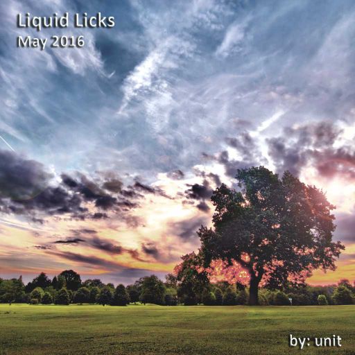 Liquid Licks May 2016