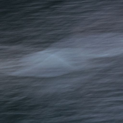 revisiting organic house for ttns.uk