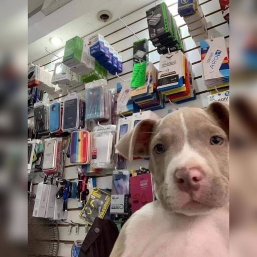 DJ'YE【Tsin Private Mix V4】《經典舞曲 - Medley Catra X 經典舞曲 - Don't Stop X Bibo Remix - Lily》Mixtape 2x23