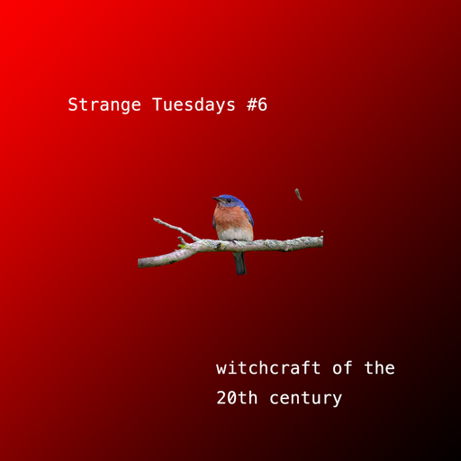 Strange Tuesdays #6: Witchcraft 01.03.2022