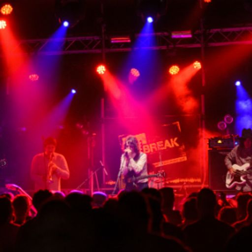 Radio Magnetic at T Break 2013: The Merrylees