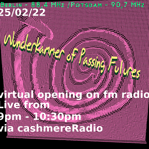 Cashmere Specials Audiomisguide Wunderkammer of Passing Futures w/ jemandsociety 25.02.2022