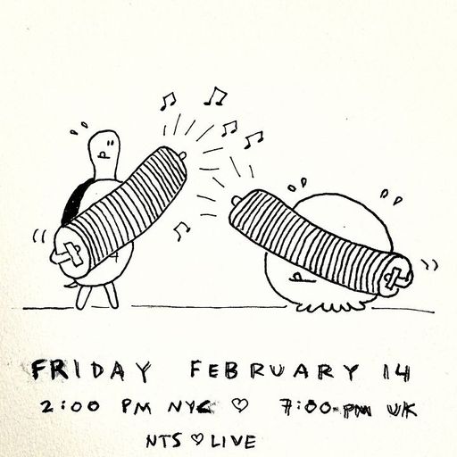 James McNew (YO LA TENGO) - 14th February 2025