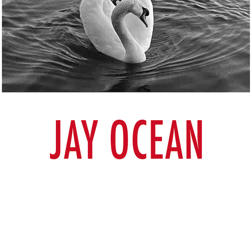 JAY OCEAN 20/04/23
