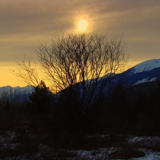 Contemplative Farewell - Musics of the World 12/03/2023 WXUT (Mix)
