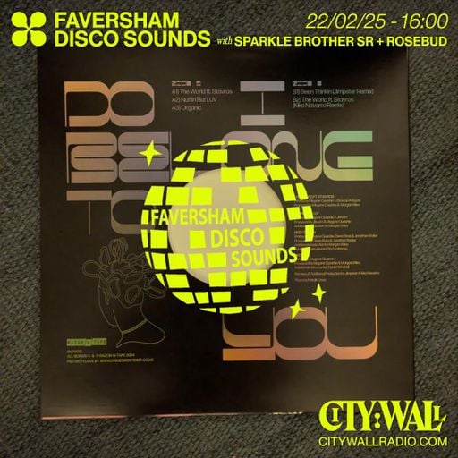 Faversham Disco Sounds w/ Sparkle Brother Snr + Rosebud - February 2025