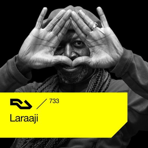 RA.733 Laraaji