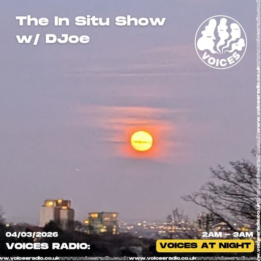 The Insitu Show w/ DJoe  RESCHEDUALE  06/03/26 [Voices Radio]