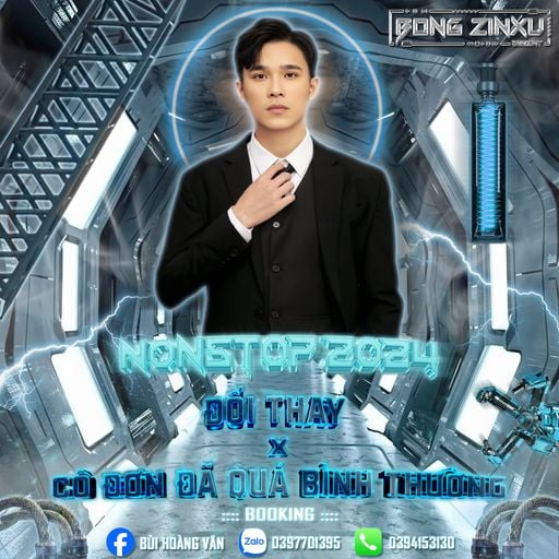 NEW VIỆT MIX 2024 - ĐỔI THAY x CÔ ĐƠN ĐÃ QUÁ BÌNH THƯỜNG - DJ BỐNG ZINXU MIX