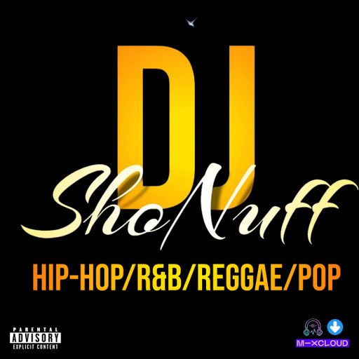 IT'S RECORDED LIVE 4SHO! (HIP-HOP/R&B/REGGAE/POP)