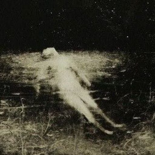 Mishka - 7th November 2025