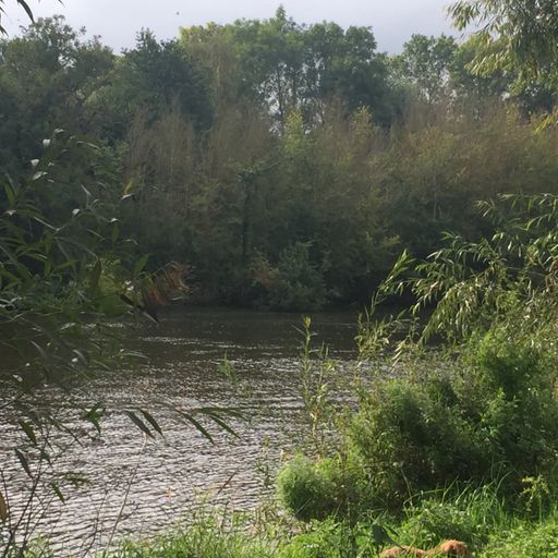 Be More Well - 23/09/23 [Voices Radio]